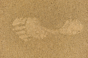 Fototapeta na wymiar Single left footprint in sand with bubbles