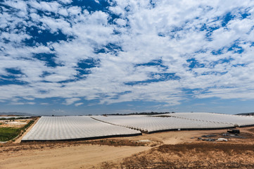 Rows of covered crops in field under sky