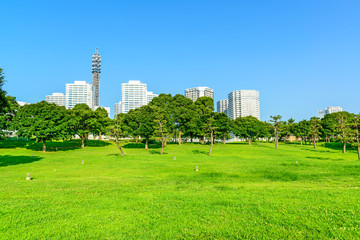 Fototapeta premium Landscape grass prospects the modern City buildings of landmark