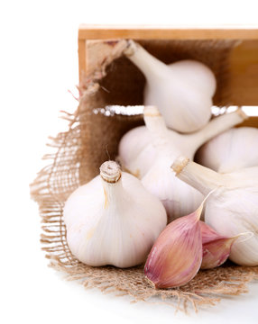 Fresh garlic in wooden box isolated on white