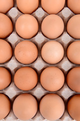 Eggs in paper tray close-up