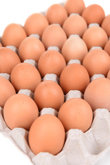 Eggs in paper tray close-up
