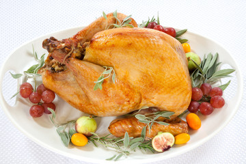 Roasted Turkey on tray over white