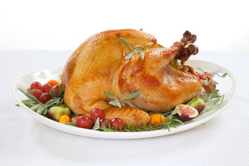 Roasted Turkey on tray over white