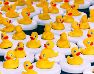 Rubber Duck Game