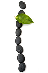 pebbles and green leaf