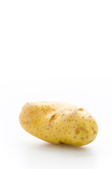 Potato isolated on white