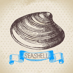 Seashell hand drawn sketch. Vintage illustration