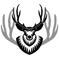 decurated deer head isolated