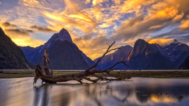 Milford Sound