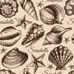 Seashell seamless pattern. Hand drawn sketch illustration