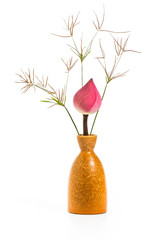 Isolated Lotus flower in vase