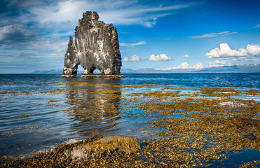 Hvitserkur