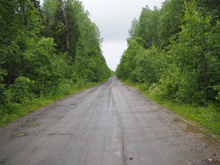 dirt road in the woods