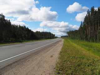 Fototapeta premium asphalt road in the forest
