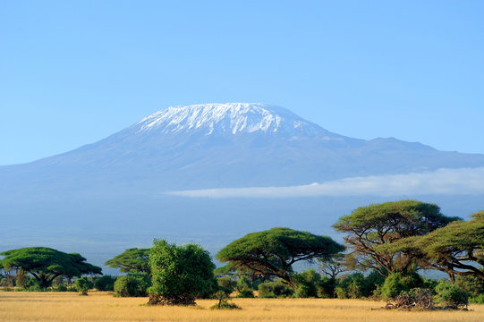 Fototapeta Snow on top of Mount Kilimanjaro