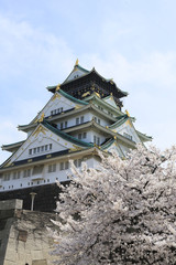 桜と大阪城