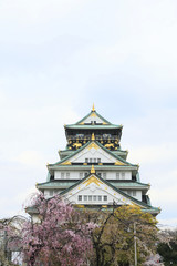 Fototapeta premium Osaka castle and cherry blossom