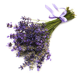bunch of lavender flowers