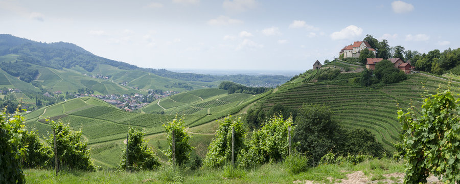 Durbach im Schwarzwald