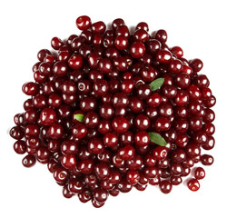 Ripe cherries with leaf