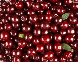 Sweet cherries background closeup