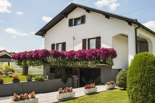 Front yard garden