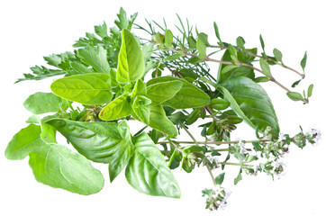 Green fresh herbs on a white.