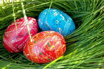 Easter Decorated Eggs in the Nest