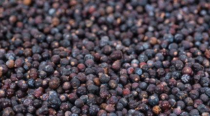 Dried Juniper Berries background image