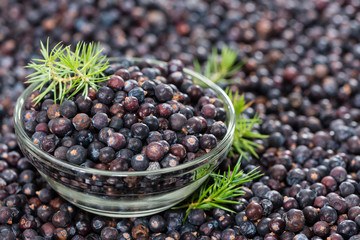 Juniper Berries background image
