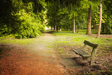 Footpath in the park