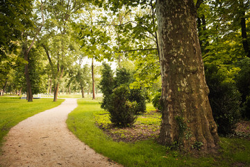 Footpath in the park