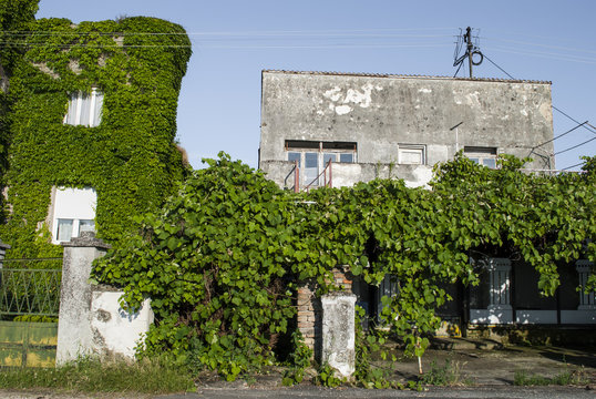 Climber on house