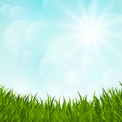 Fototapeta na wymiar Green grass on sunny background
