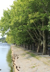 An der Tegeler Greenwichpromenade in Berlin