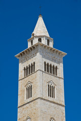 Obraz premium Cathedral of Trani. Puglia. Italy.