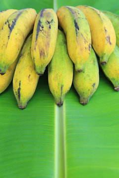 Bunch of bananas on banana leaves
