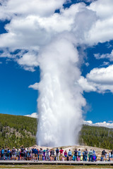 Tourists watching the Old Faithful erupting in Yellowstone Natio