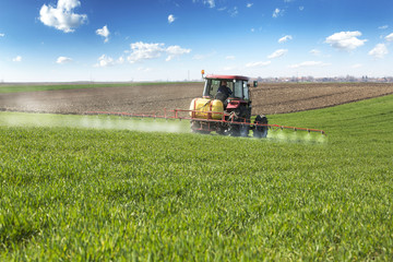 Farmer spraying wheat field with tractor sprayer - obrazy, fototapety, plakaty
