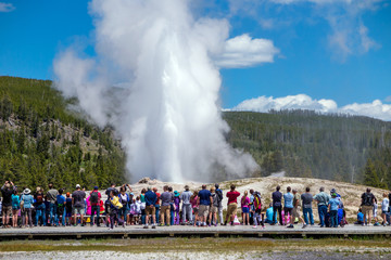 Tourists watching the Old Faithful erupting in Yellowstone Natio - obrazy, fototapety, plakaty