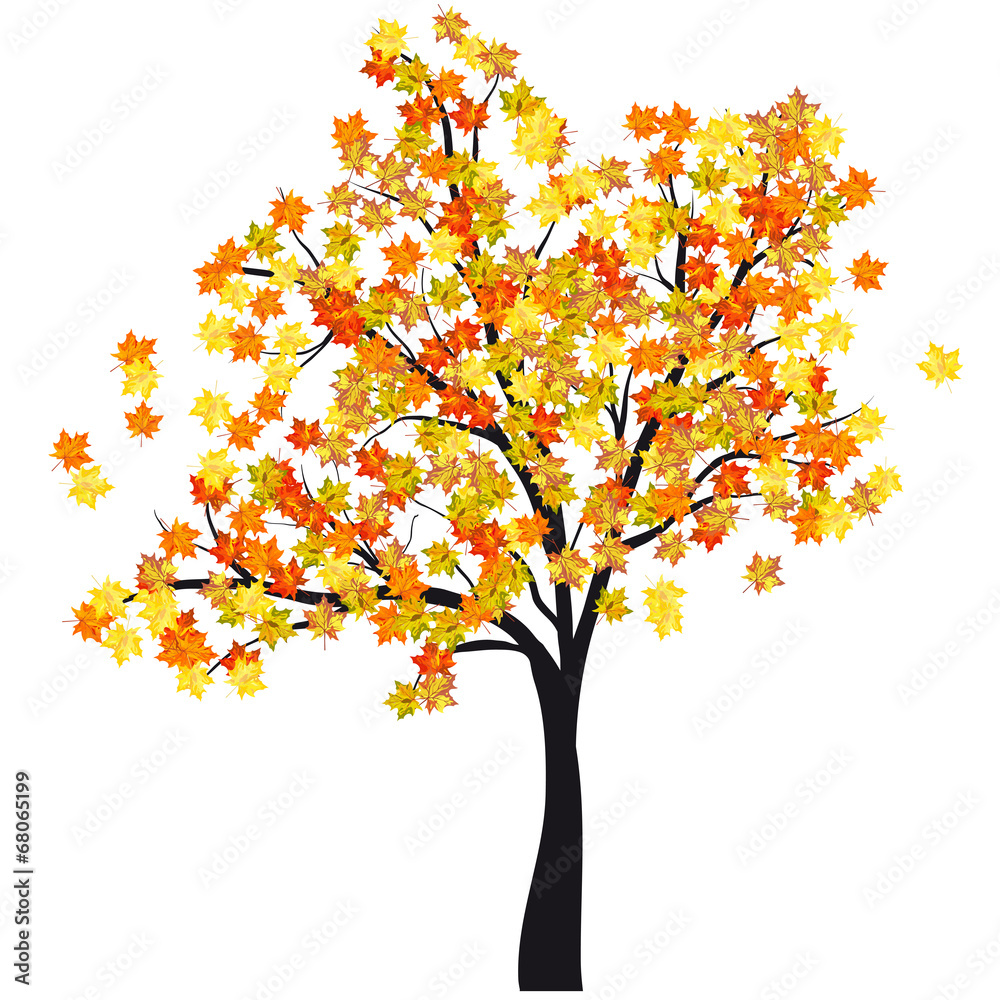 Wall mural autumn maple tree