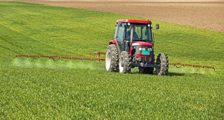 Naklejka premium Farmer spraying wheat field at spring season