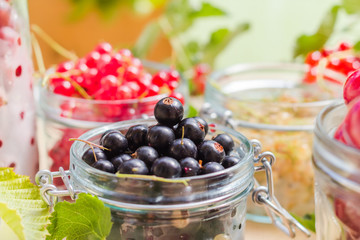 black red white currants gooseberries cherries jars preparations