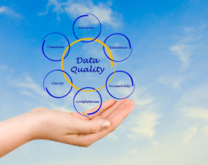 Diagram of data quality