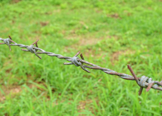 abstract Barbed fence