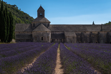 Abbaye de S&eacute;nanque