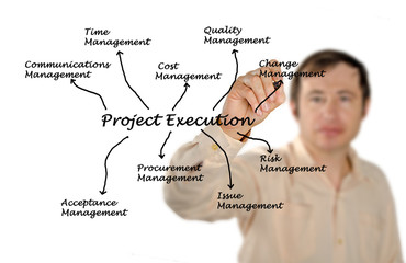 project execution