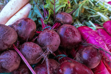 Rote Beete und purple Rettich