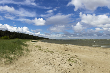 Sea coastline.